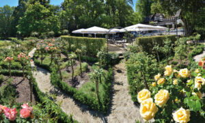 Rosengarten